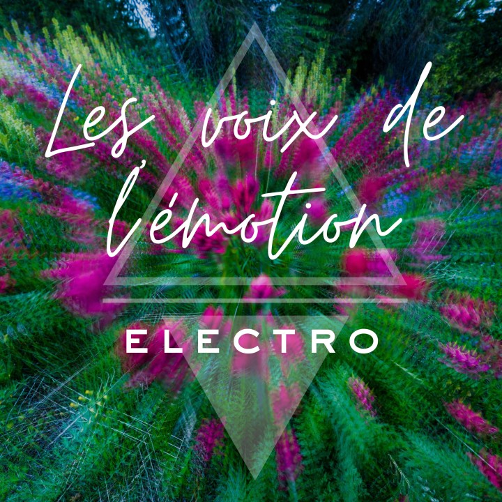 Les voix de l'émotion - Electro